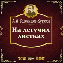 Аудиокнига На летучих листках