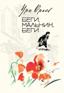 Аудиокнига Беги, мальчик, беги