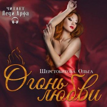 Аудиокнига Огонь любви