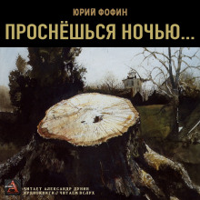 Аудиокнига Проснёшься ночью...
