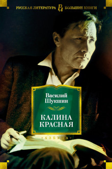 Аудиокнига Сапожки