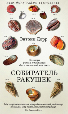 Аудиокнига Собиратель ракушек