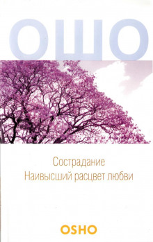 Аудиокнига Сострадание