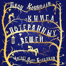 Аудиокнига Книга потерянных вещей