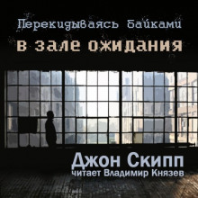 Аудиокнига Перекидываясь байками в зале ожидания