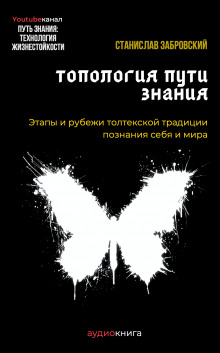 Аудиокнига Человек на пути знания. Этапы и рубежи толтекской традиции познания