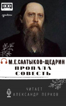 Аудиокнига Пропала совесть