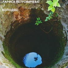 Аудиокнига Колодец