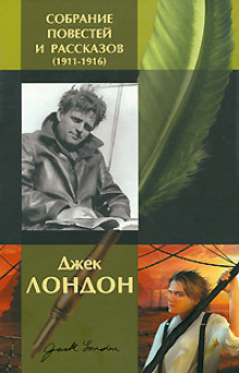 Аудиокнига История, рассказанная в палате для слабоумных