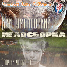 Аудиокнига Иглосборка