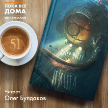 Аудиокнига Ниша