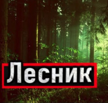 Аудиокнига Лесник