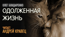 Аудиокнига Одолженная жизнь