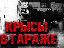 Аудиокнига Крысы в гараже