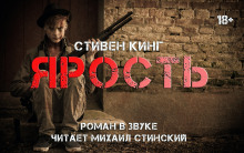 Аудиокнига Ярость