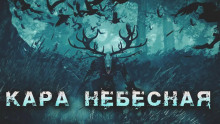 Аудиокнига Кара небесная