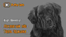 Аудиокнига Лохматый пёс Эдисона