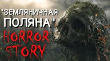 Аудиокнига Земляничная поляна