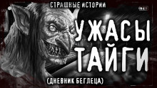 Аудиокнига Дневник беглеца
