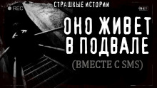 Аудиокнига Простые житейские радости