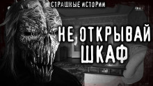 Аудиокнига Бука или Чудовище из шкафа