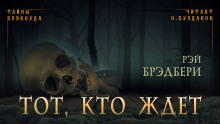 Аудиокнига Тот, кто ждёт