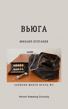 Аудиокнига Вьюга