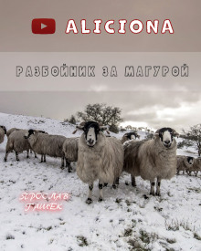 Аудиокнига Разбойник за Магурой