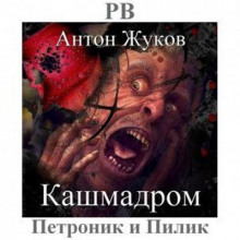 Аудиокнига Кашмадром