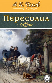 Аудиокнига Пересолил