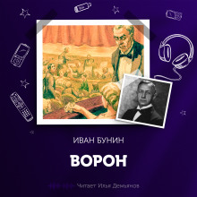 Аудиокнига Ворон