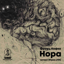 Аудиокнига Нора