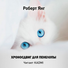 Аудиокнига Хроносдвиг для Пенелопы