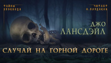 Аудиокнига Случай на горной дороге