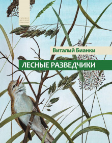 Аудиокнига Лесные разведчики