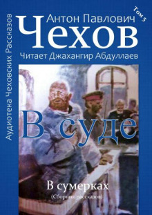 Аудиокнига В суде