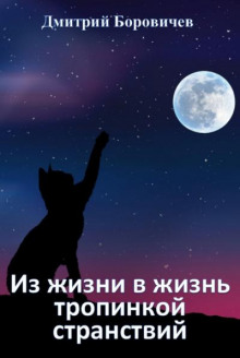 Аудиокнига Из жизни в жизнь тропинкой странствий