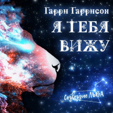 Аудиокнига Я вас вижу
