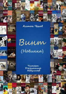 Аудиокнига Винт