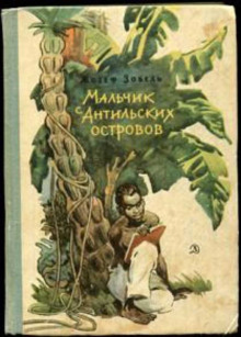 Аудиокнига Мальчик с Антильских островов