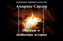 Аудиокнига Обычные и необычные истории