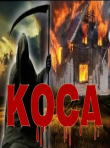 Аудиокнига Коса