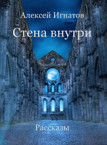 Аудиокнига Стена внутри