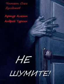 Аудиокнига Не шумите!