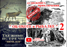 Аудиокнига Нимелен