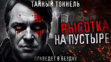 Аудиокнига Высотка на пустыре