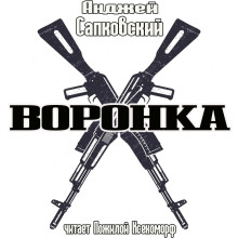 Аудиокнига Воронка