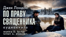 Аудиокнига По праву священника