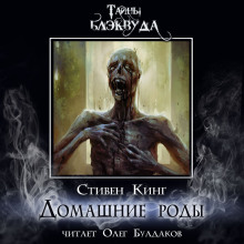 Аудиокнига Домашние роды