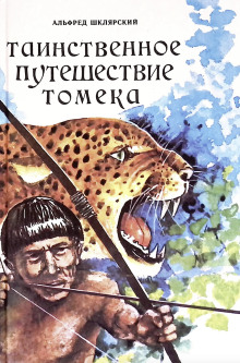 Аудиокнига Таинственное путешествие Томека